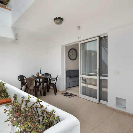 Sunset Lux Floritas *